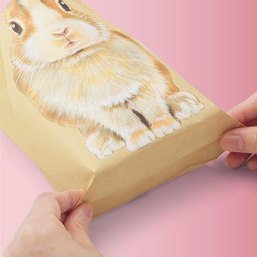 うさ耳がぴょこん！うさぎのおすそわけ袋│YOU+MORE！│フェリシモ